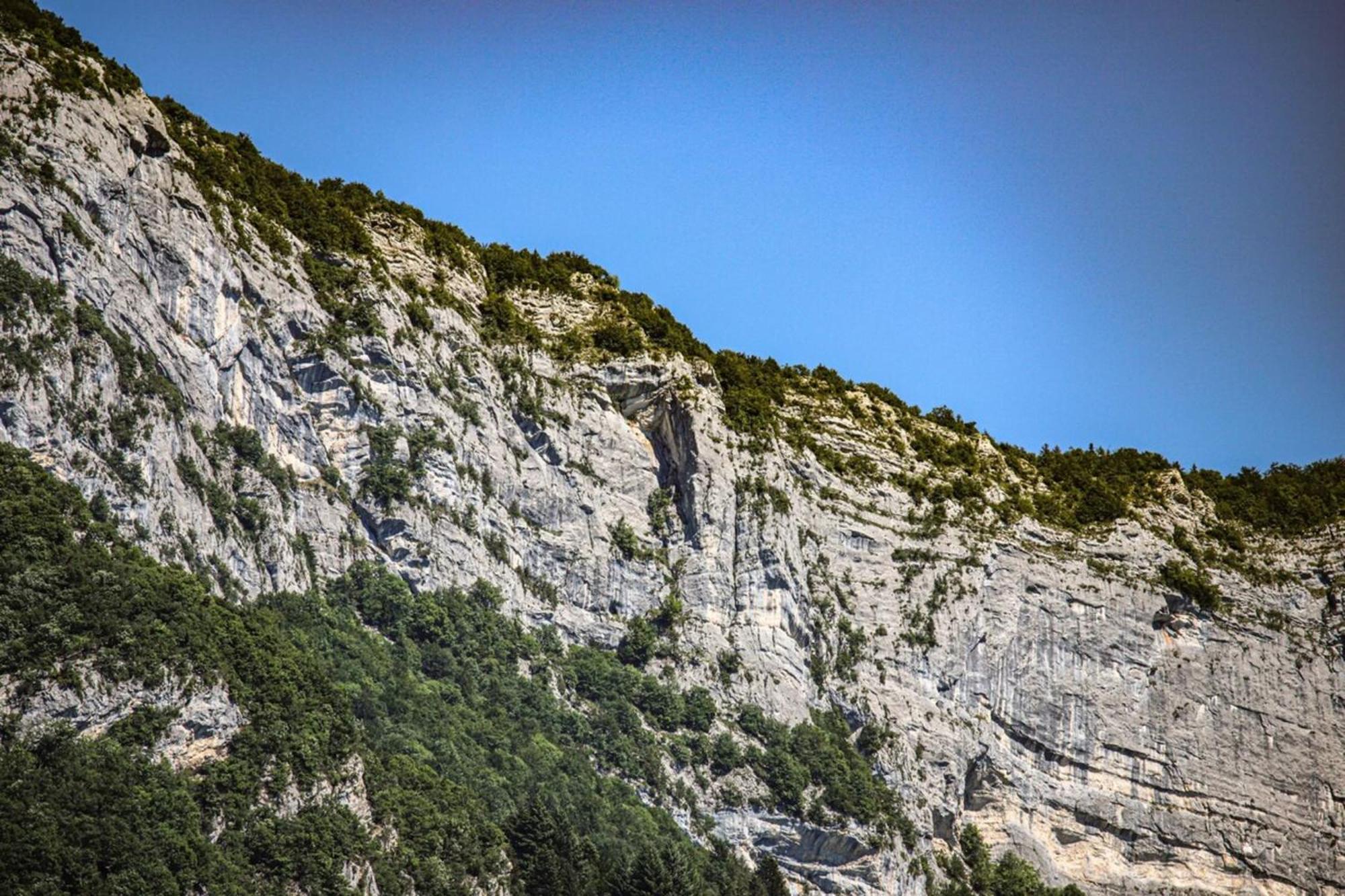 La Bulle Verte T2 Proche Lac Avec Parking - 3 Annecy Exteriör bild